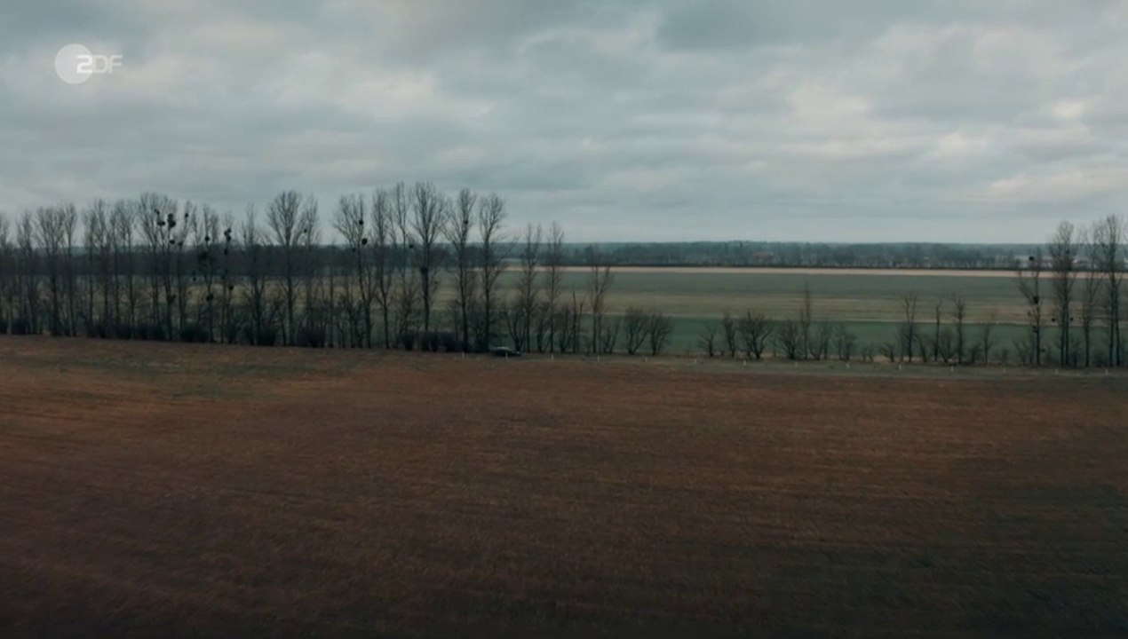 Das Quartett -06- Mörderischer Pakt