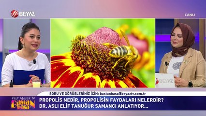 Elif Melek ile Baştan Başa 27 Nisan 2024
