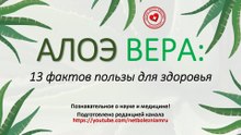 Алоэ вера: 13 доказательств её пользы для здоровья