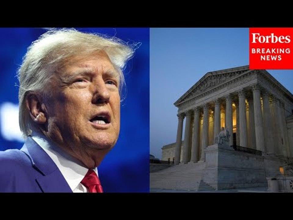 'The Most Significant Immunity Case': Law Professor Breaks Down Trump's Supreme Court Case