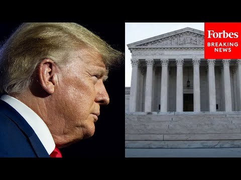 Trump's Lawyer Makes The Case That President Should Have Presidential Immunity From Prosecution