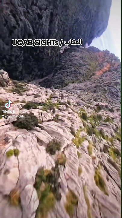 UQABSIGHTs