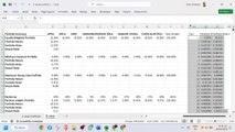 10 ten stocks portfolios, minimum variance portfolio efficient frontier, Capital asset line in excel