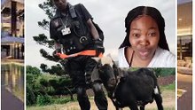 Goat arrested in south Africa