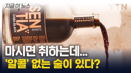 음주측정기도 무반응…'알코올' 없는 술 등장에 '갑론을박' [지금이뉴스] / YTN