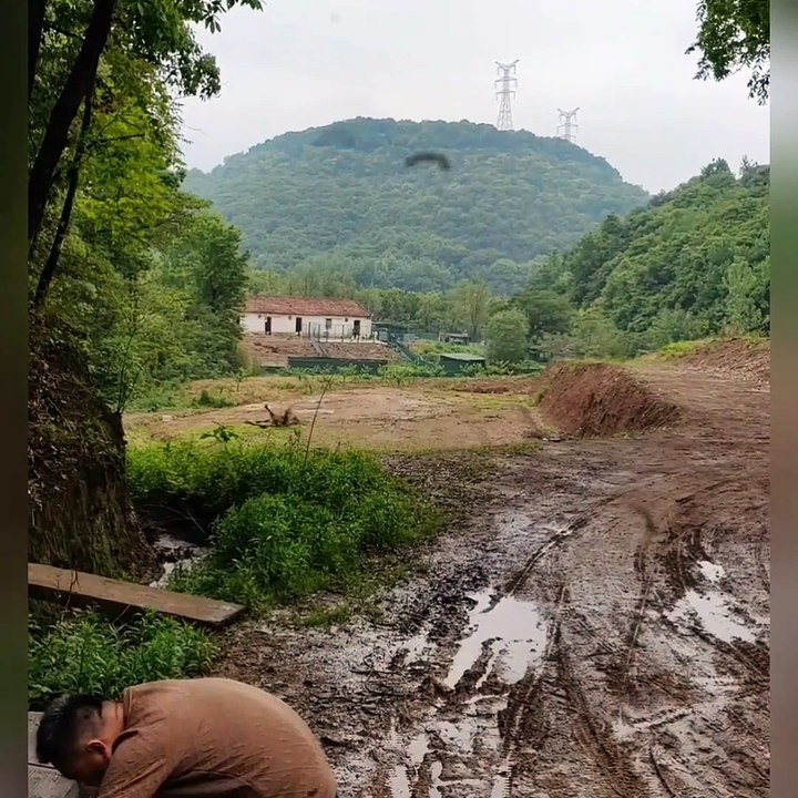 Internet funny videos