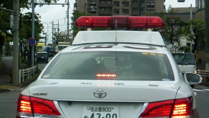 Woman Fights Japanese Police