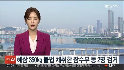해삼 350㎏ 불법 채취한 잠수부 등 2명 검거