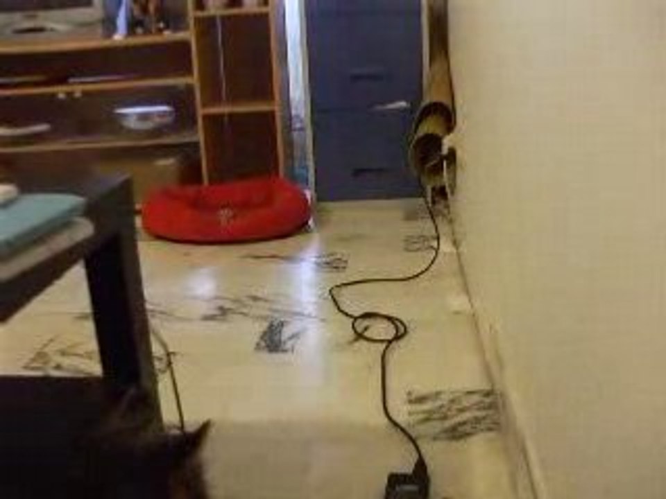 DSCF5232