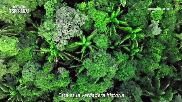 Operación Esperanza: Los niños perdidos en el Amazonas | movie | 2024 | Official Trailer