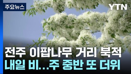 [날씨] 휴일 30℃ 안팎 더위...전주 이팝나무 거리 북적 / YTN