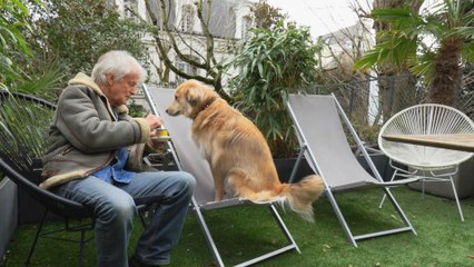 Mon maître est une célébrité