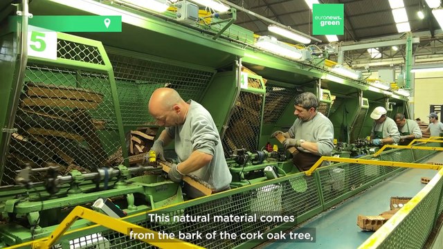 Portugal’s cork forests are major carbon sinks - but they face threats from climate change