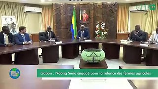 [#Reportage] Gabon : Ndong Sima engagé pour la relance des fermes agricoles