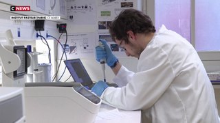 JO Paris 2024 : la traque au virus dans l’eau de la Seine à l’institut Pasteur