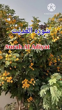 Surah Al Adiyat | Tilawat quran beautiful voice | Learn Quran | Tajwed quran