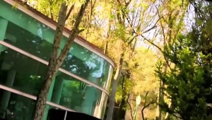 Vivir de Amor - Cap 65