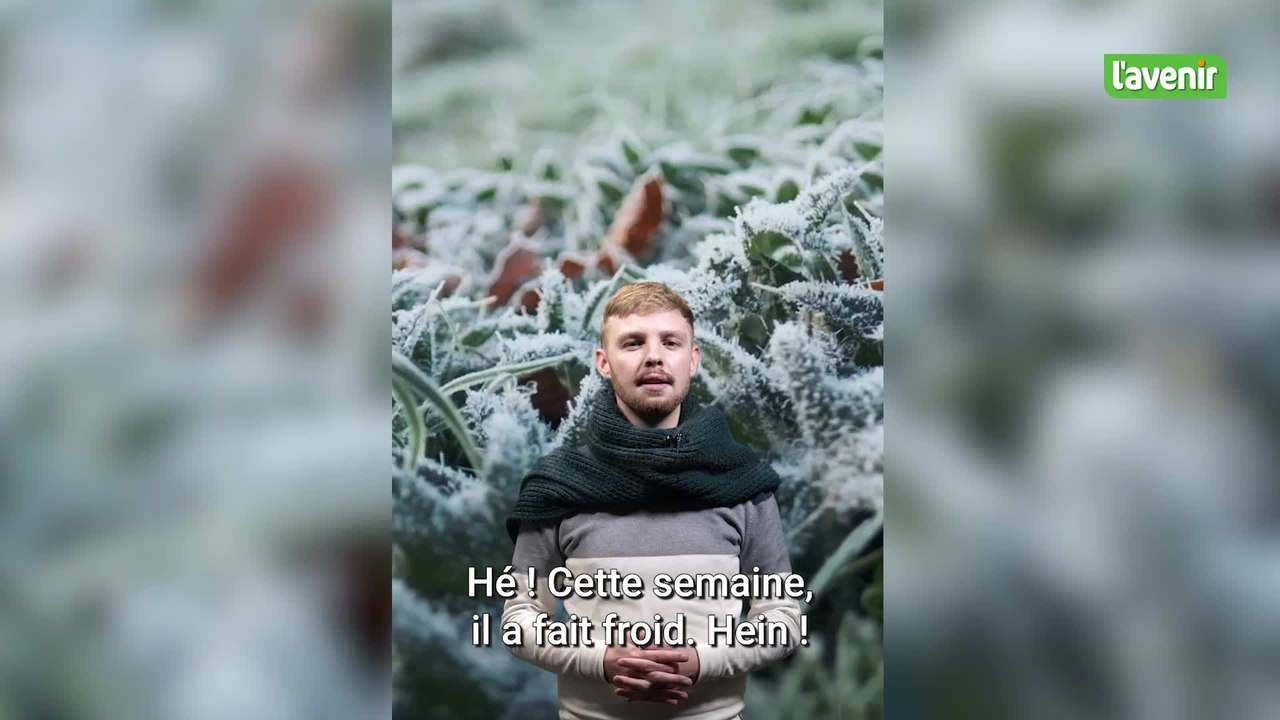 Minute locale : l’aspersion d’eau et les ondes infrarouges, deux techniques innovantes pour protéger les vignes du gel