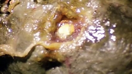 Massacre à la tronçonneuse 2 Bande-annonce (IT)