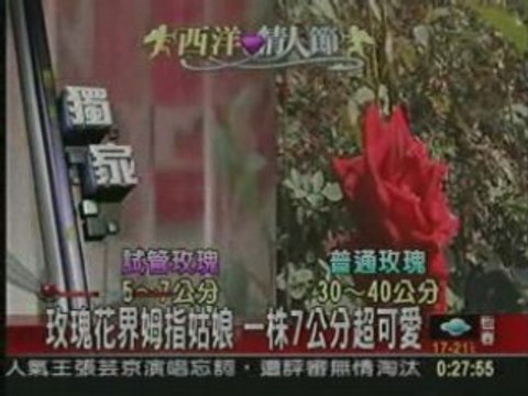 0213迎光衣蝶報導