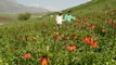 Hakkari'de ters lale vakti