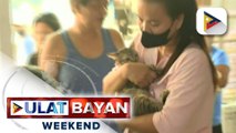 Panayam kay Philippine Animal Medical Center Veterinarian Dr. Sharlene Yao