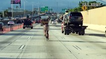 Idiots On Bikes _ Hilarious Cyclist Fails Compilation