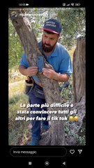 facciamo questo tik tok in campagna