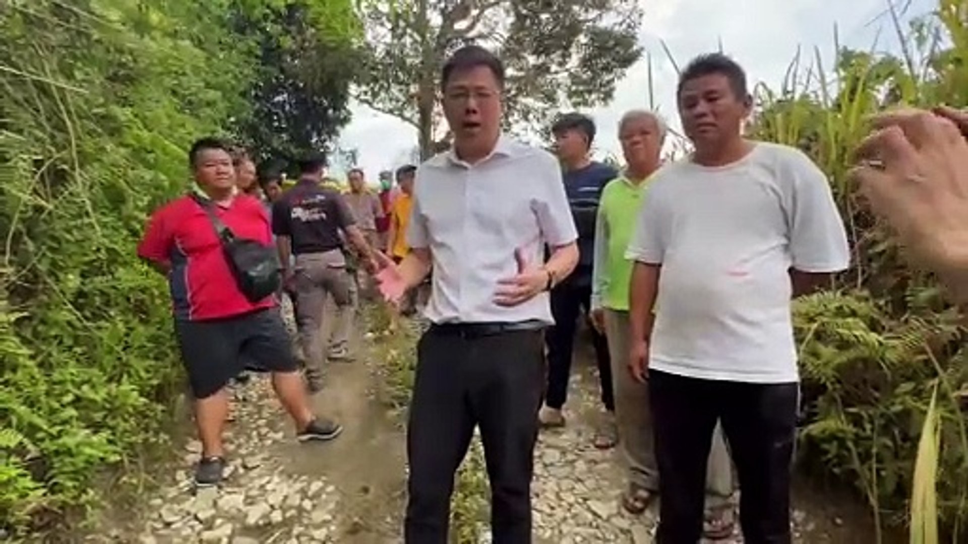 封芭，榴槤怎办？ 血本无归  毁农民生计