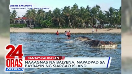 Download Video: Naaagnas na balyena, napadpad sa baybayin ng Siargao Island | 24 Oras Weekend