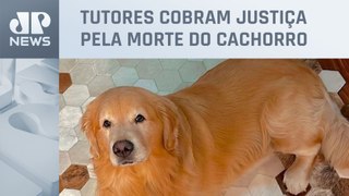 Caso do cão Joca: Donos de pets fazem manifestação em aeroporto de Brasília