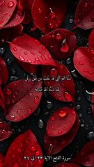 سورة الفتح بصوت الشيخ ياسر الدوسري الاية ٢٣ الى ٢٤