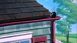 Tom and Jerry cartoon episode 60 - Slicked up Pup 1951 - Funny animals cartoons for kids