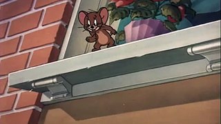 Tom and Jerry cartoon episode 55 - Casanova Cat 1950 - Funny animals cartoons for kids
