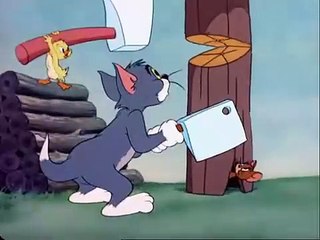 Tom and Jerry cartoon episode 47 - Little Quacker 1950 - Funny animals cartoons for kids