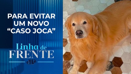 Projeto sobre transporte aéreo de pets está parado | LINHA DE FRENTE