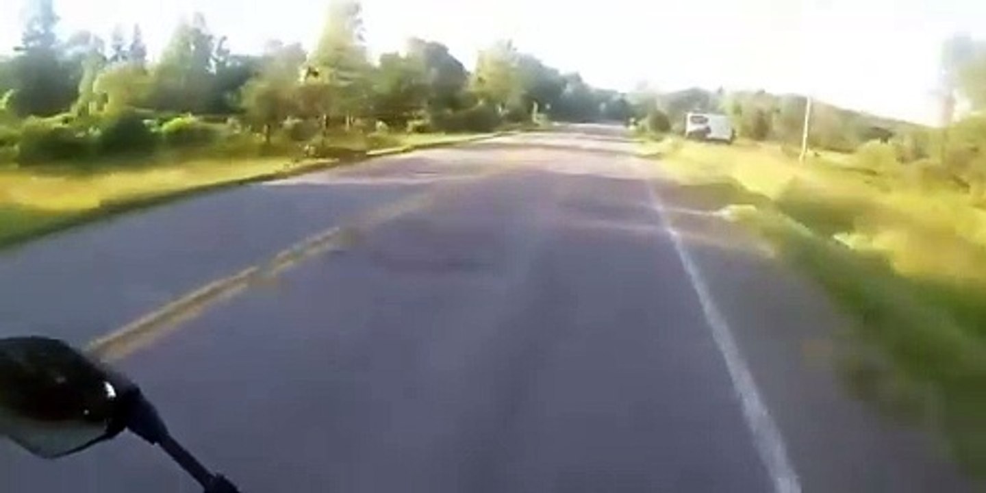 Un motard croise la route d'une biche... douloureux