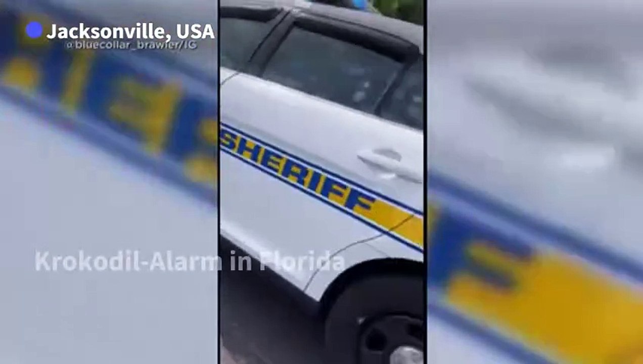 Florida: Mann bändigt Alligator mit bloßen Händen