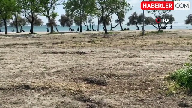 Adalet Bakanı Yılmaz Tunç, su birikintisine düşen kız çocuğunun ölümüyle ilgili soruşturma başlattı