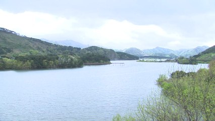 임실 옥정호서 시신 발견...실종 건설사 대표 여부 확인 중 / YTN