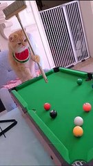 story for kids The Brave Little Explorer: A Magical Journey