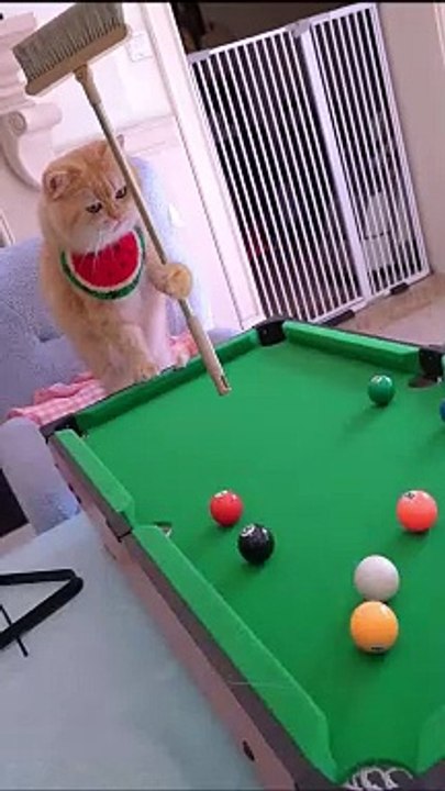 story for kids The Brave Little Explorer: A Magical Journey