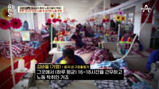 감옥 생활과 다름 없는 북한 노동자의 삶! 북한에서 요동치는 노동 운동, MZ 세대가 주도?