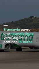 Transavia ouvre une nouvelle ligne vers l'Algérie à partir de 69 euros