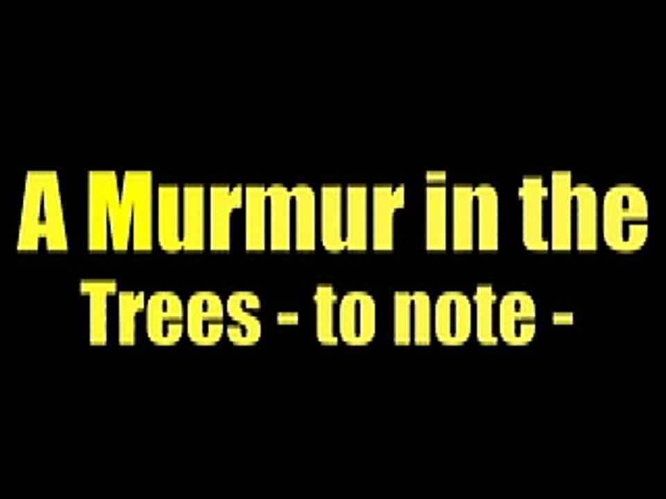 The Dam - Emily Dickinson - A Murmur in the Trees to note