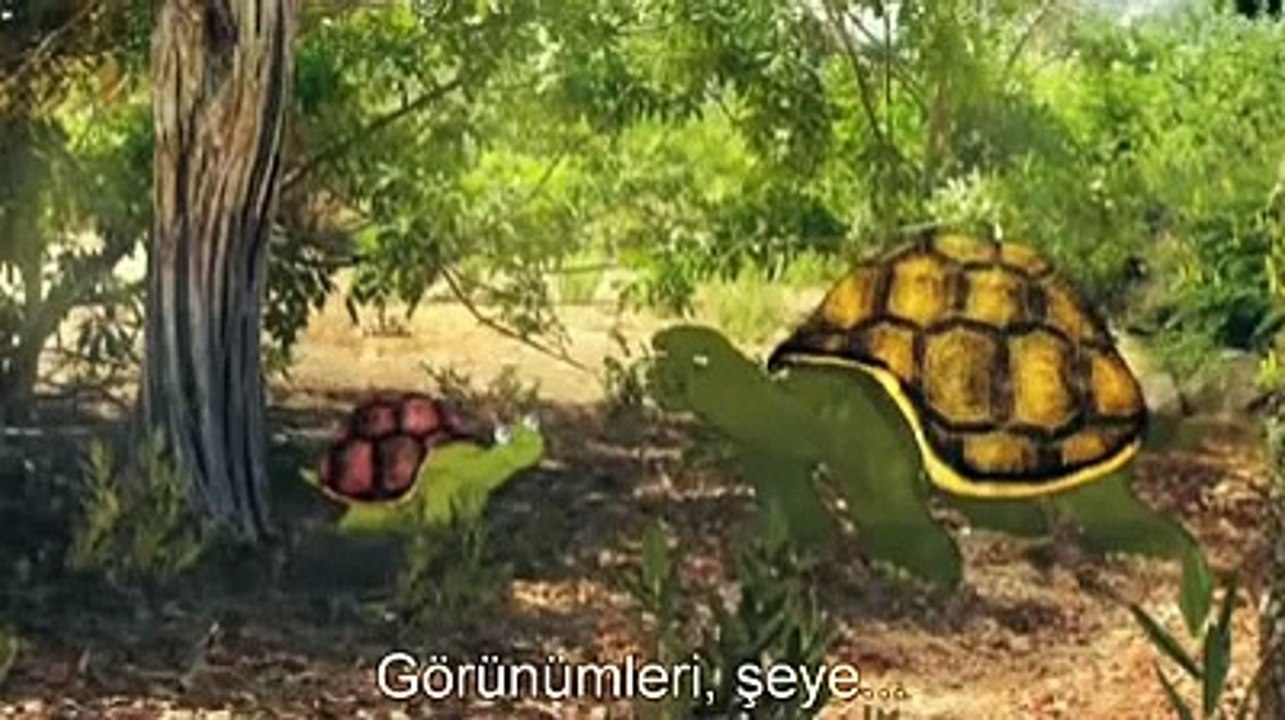 Kamuflaj nedir ?