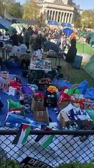 #Columbia University  #CEASEFIRENOW  #Israel #Palestine คืนวิทยาเขตให้กับนักศึกษา