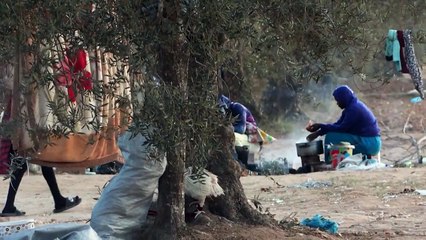 حقول الزيتون ضالة المهاجرين في تونس بانتظار عملية عبور محفوفة بالمخاطر