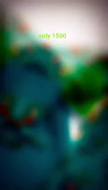 Fashion  Girls' clothing  Dress trends Styling tips  Outfit ideas  DIY dresses  Fashion hauls  Dress reviews Celebrity-inspired dresses  Seasonal fashion trends #shorts    #shorts #Girlsdresses #FashionFridays  #DressObsession  #StylingGirls #Fashionis