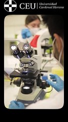 Campaign "Hazlo Real" OPPIS street Valencia (Scolarships)